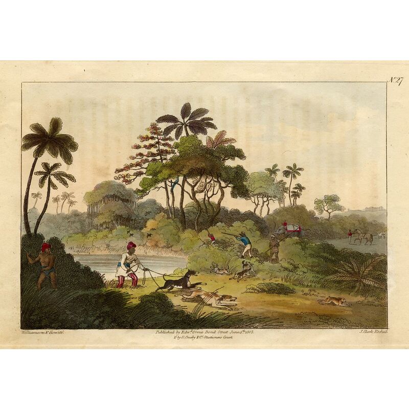 Shooting at the Edge of the Jungle, 1819