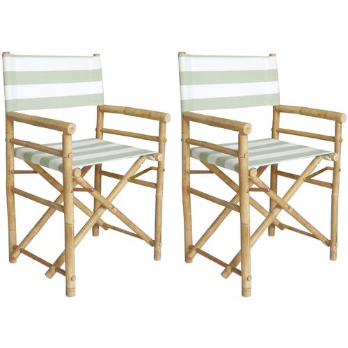 S/2 Director's Outdoor Chairs, Celadon/White~P77405949
