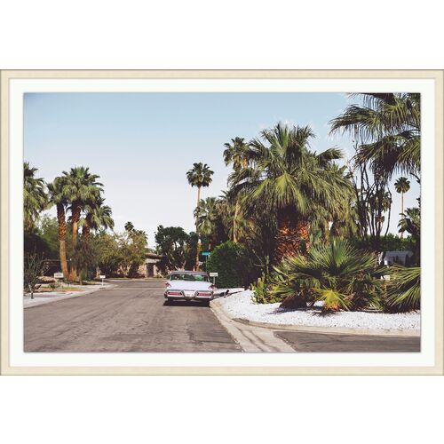 Parked Under the Palms