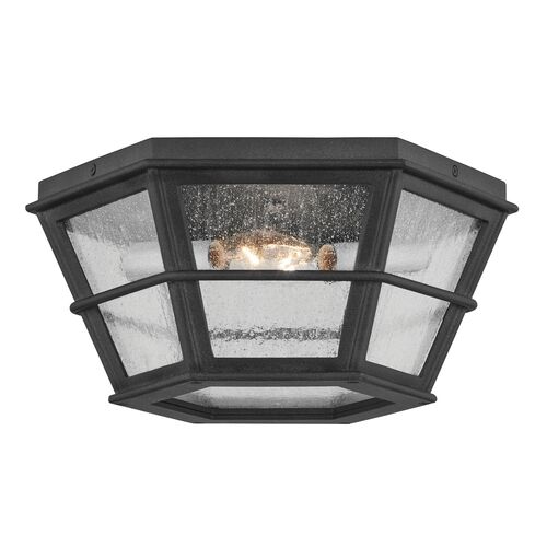 Lake County Outdoor Flush Mount, French Iron