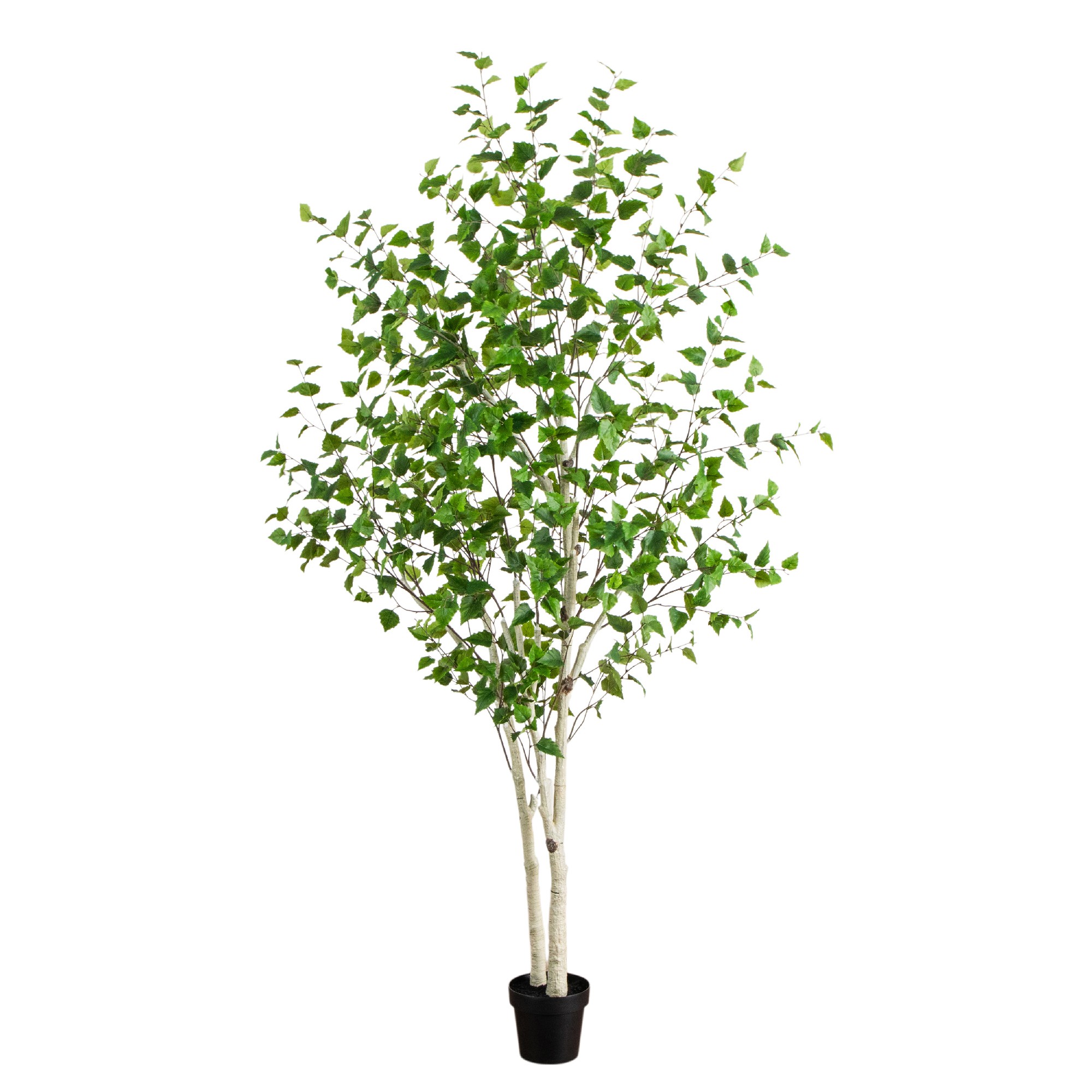 8-ft Birch Tree with Real Touch Leaves