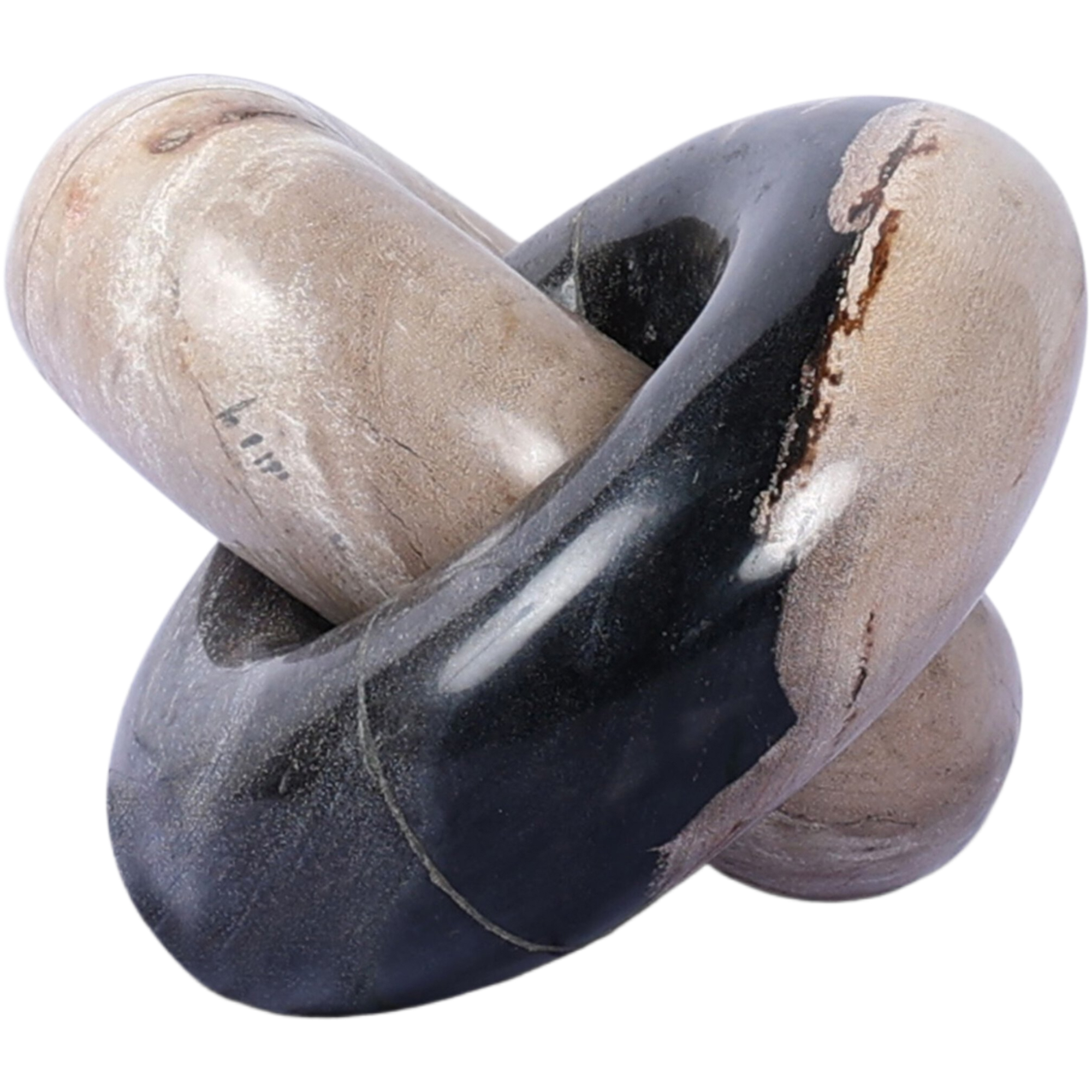 Kivo Wood Knot, Dark Petrified Wood