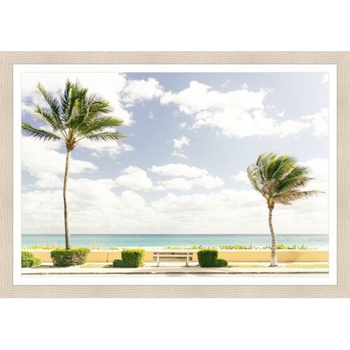 Palms Photograph by Adam Mowery