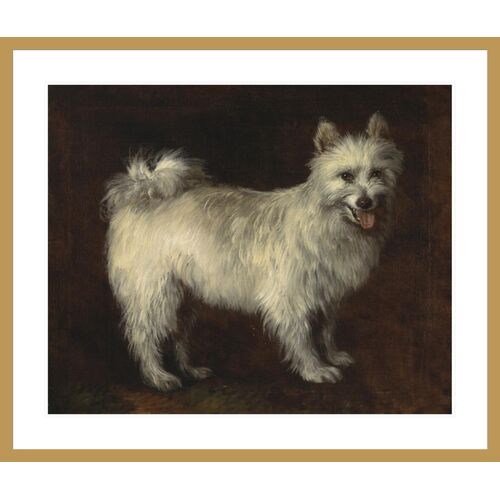 Spitz Dog by Thomas Gainsborough Framed Print Spitz Dog by Thomas Gainsborough Framed Print