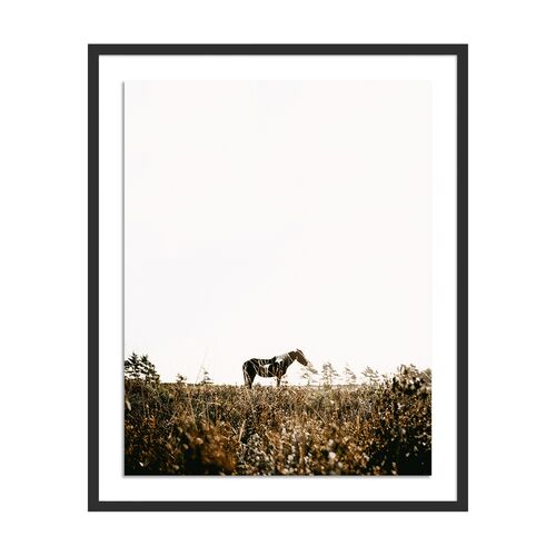Annie Spratt, Horse Photograph