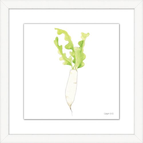 Sara Fitz, Daikon 1