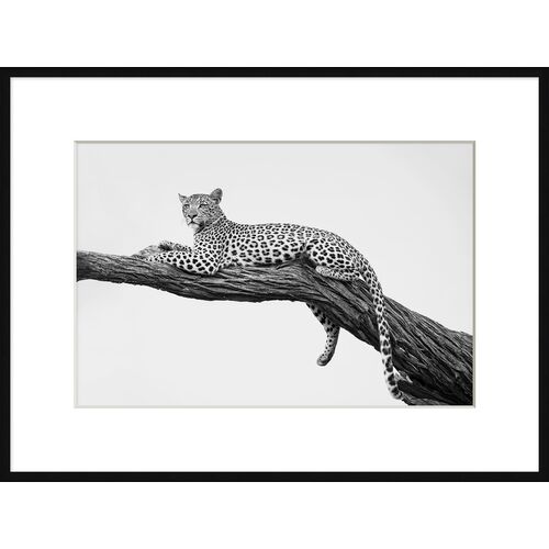 Jaguar Branch 1, 41" x 31"