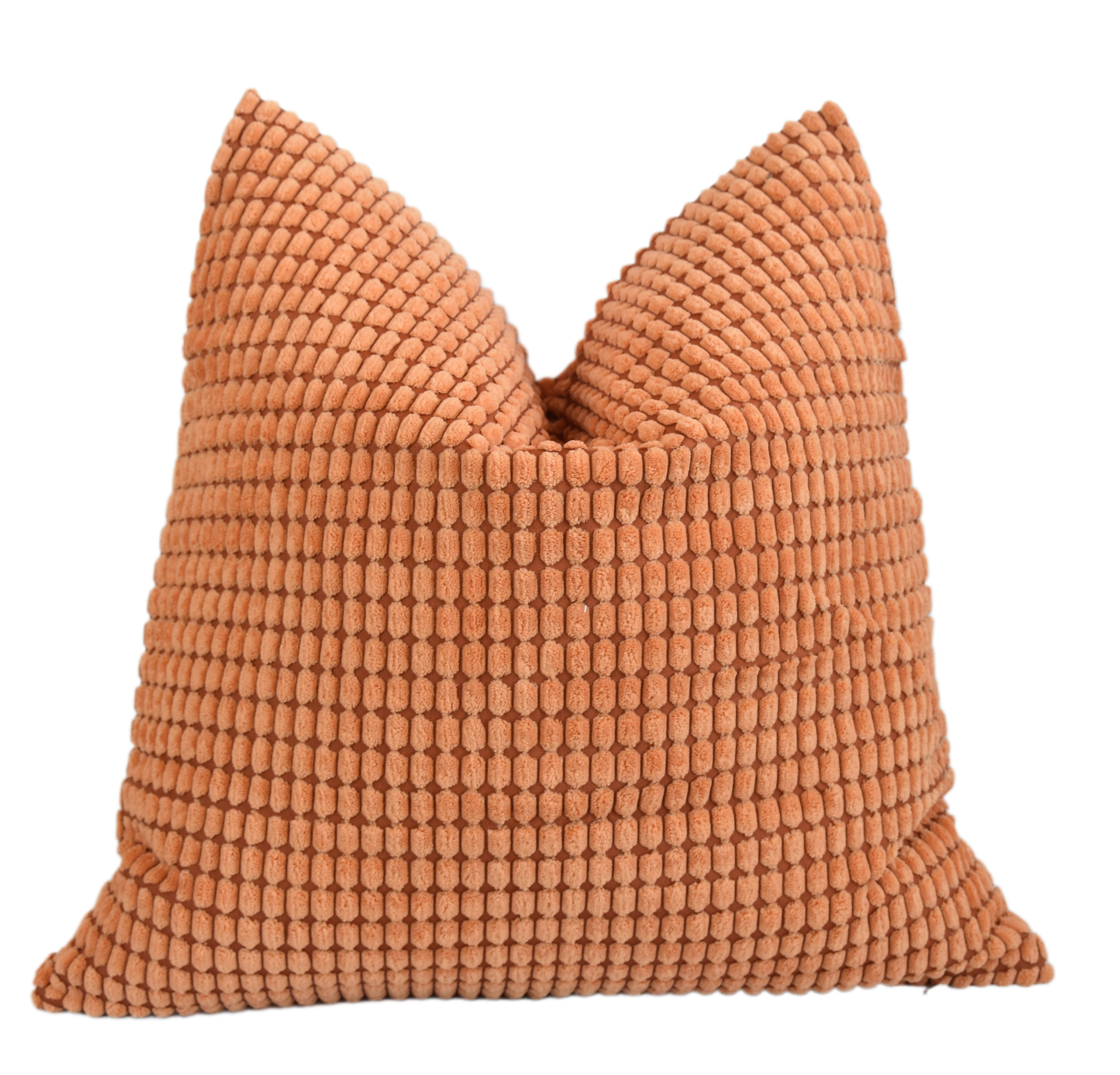 Tangerine Orange Ultra Soft Plush Pillow~P77687578