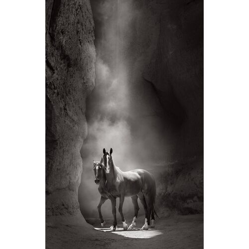Spirit Within Unframed Photograph, 17" x 27"