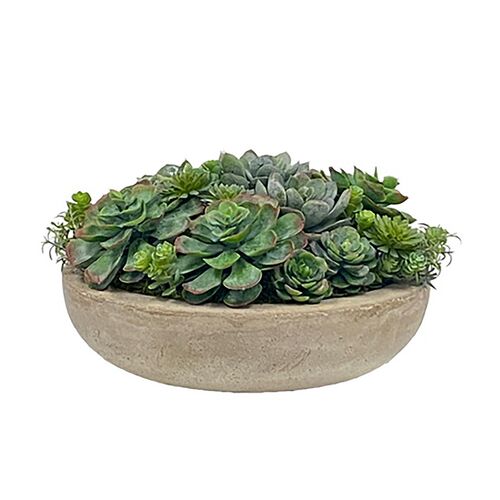 Faux Succulent Assortment In Round Bowl, Green/Taupe