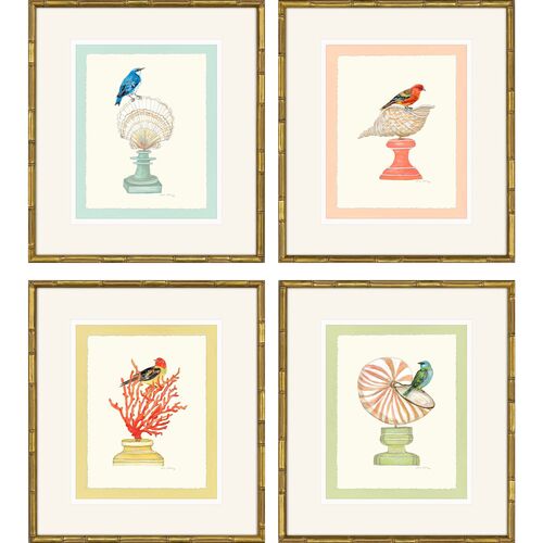S/4 Tanager & Shell Framed Paintings S/4 Tanager & Shell Framed Paintings