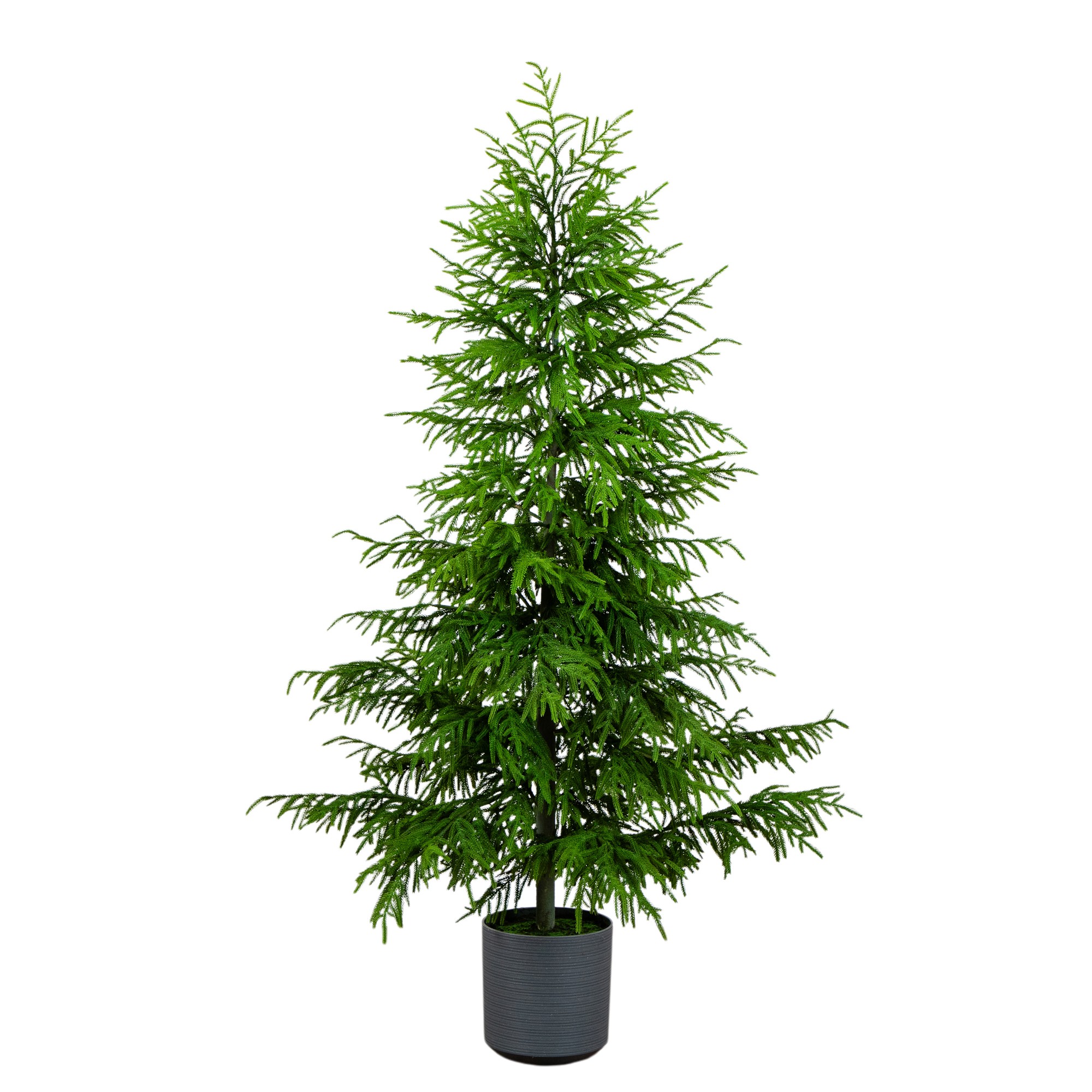 Real Touch Norfolk Island Pine Christmas Tree with Natural Look