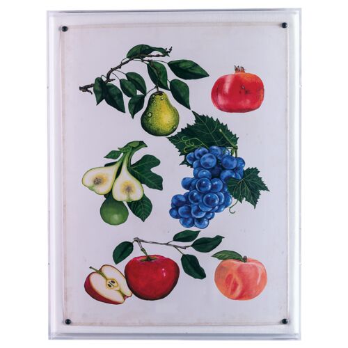 Fruit I Print, 20" x 26"