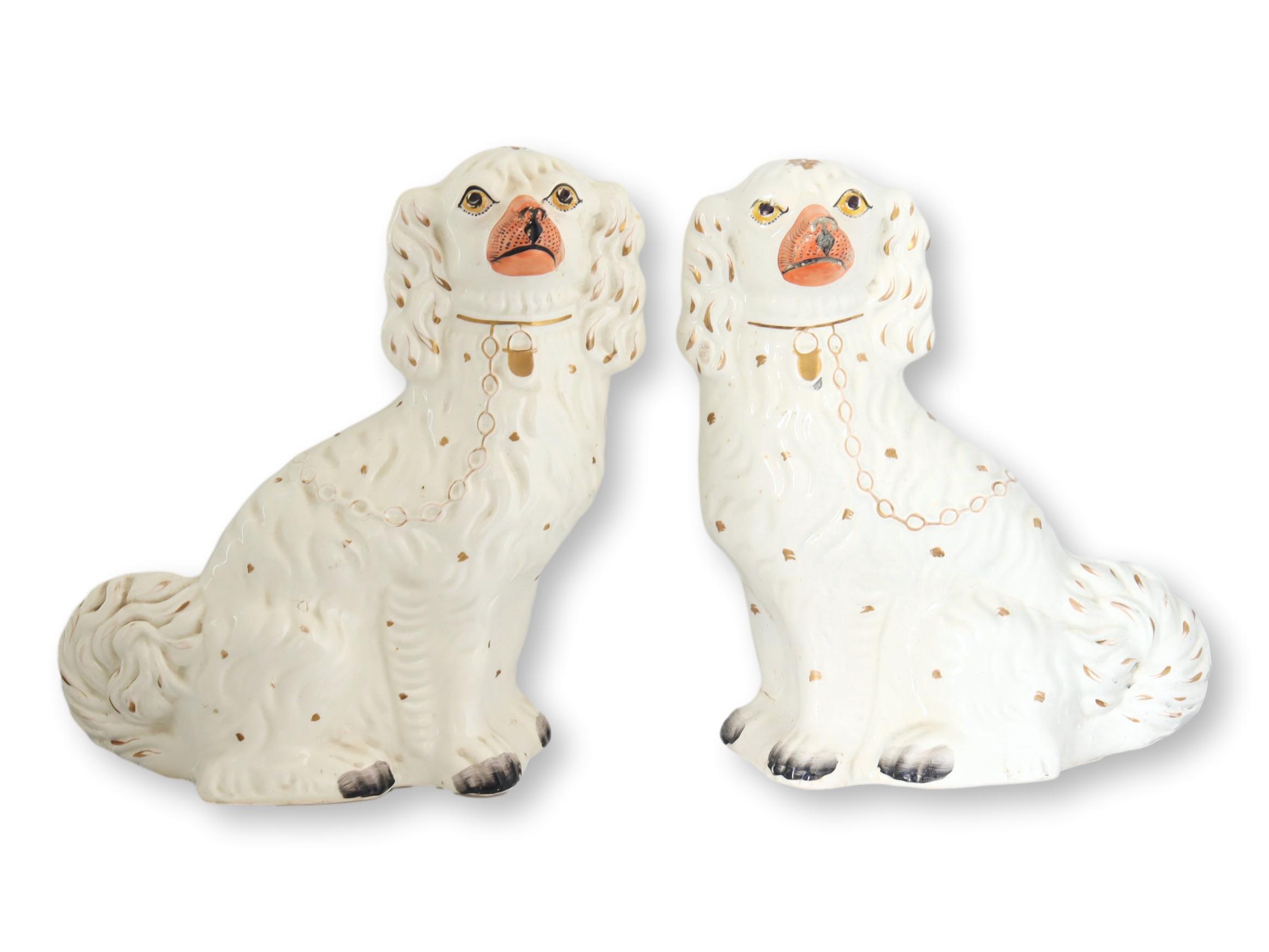 Large White Staffordshire Spaniel Dogs~P77688816