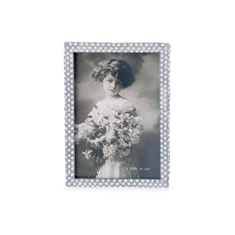Palmyra Jeweled Picture Frame, Silver