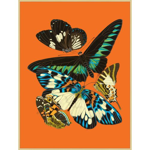 Lillian August, Papillon Pop 1, 31" x 41"