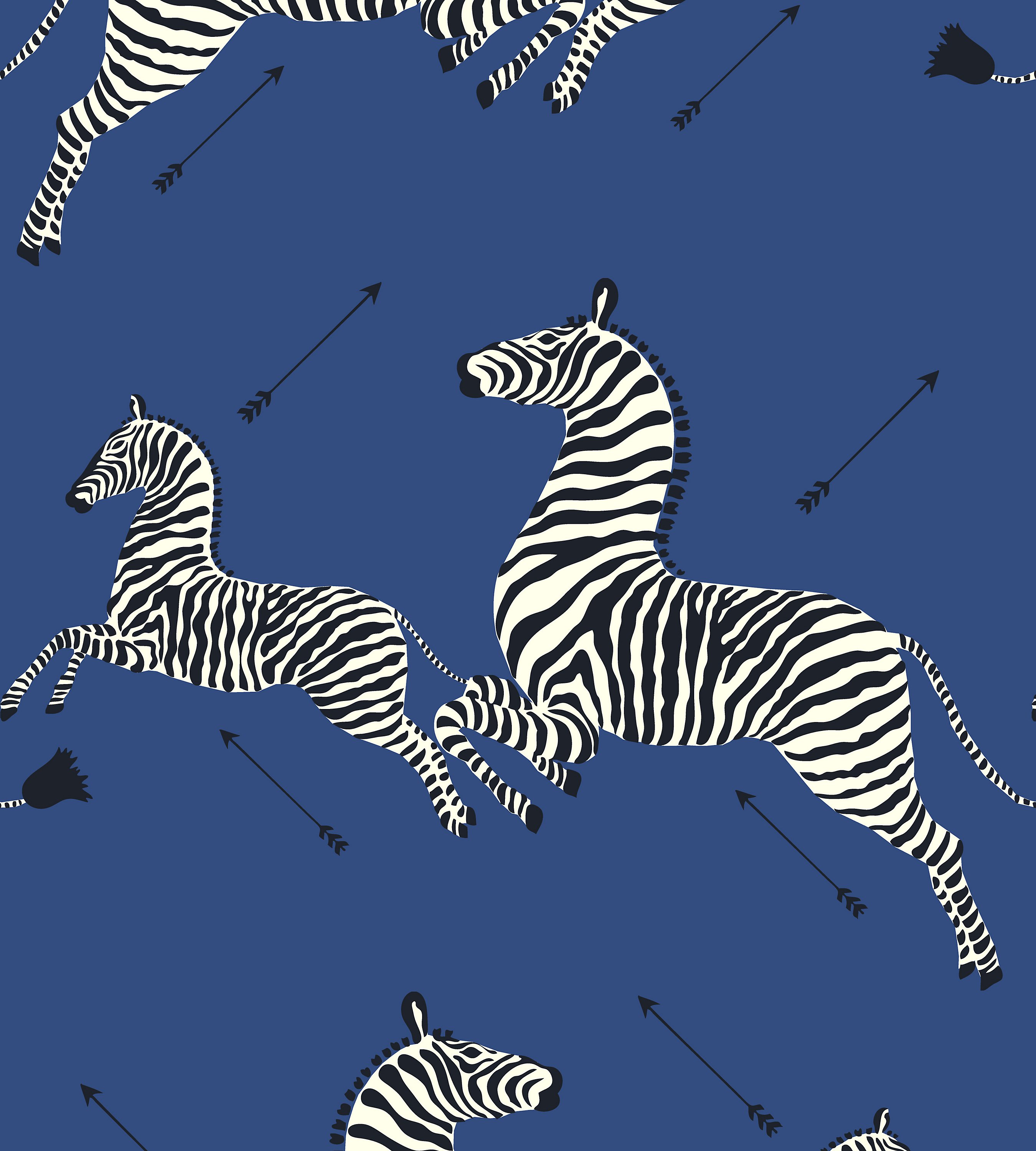 48 Free Zebra Wallpaper  WallpaperSafari