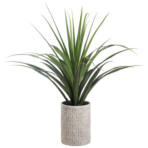 58" Dracaena Plant, Faux~P77408386