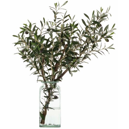 32" Olive Branch in Glass Vase, Green