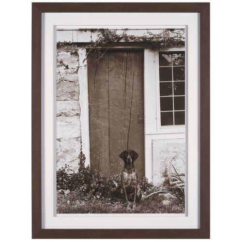 I am Home by Jim Dratfield 33" x 43" Framed Photograph I am Home by Jim Dratfield 33" x 43" Framed Photograph