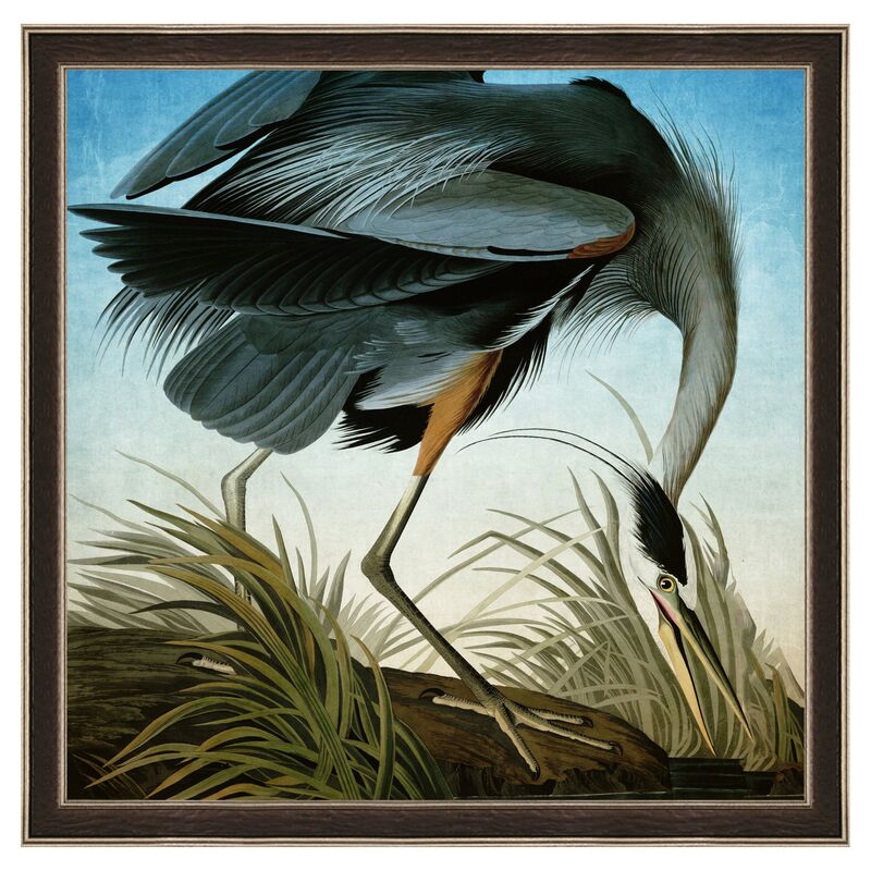John James Audubon, Heron