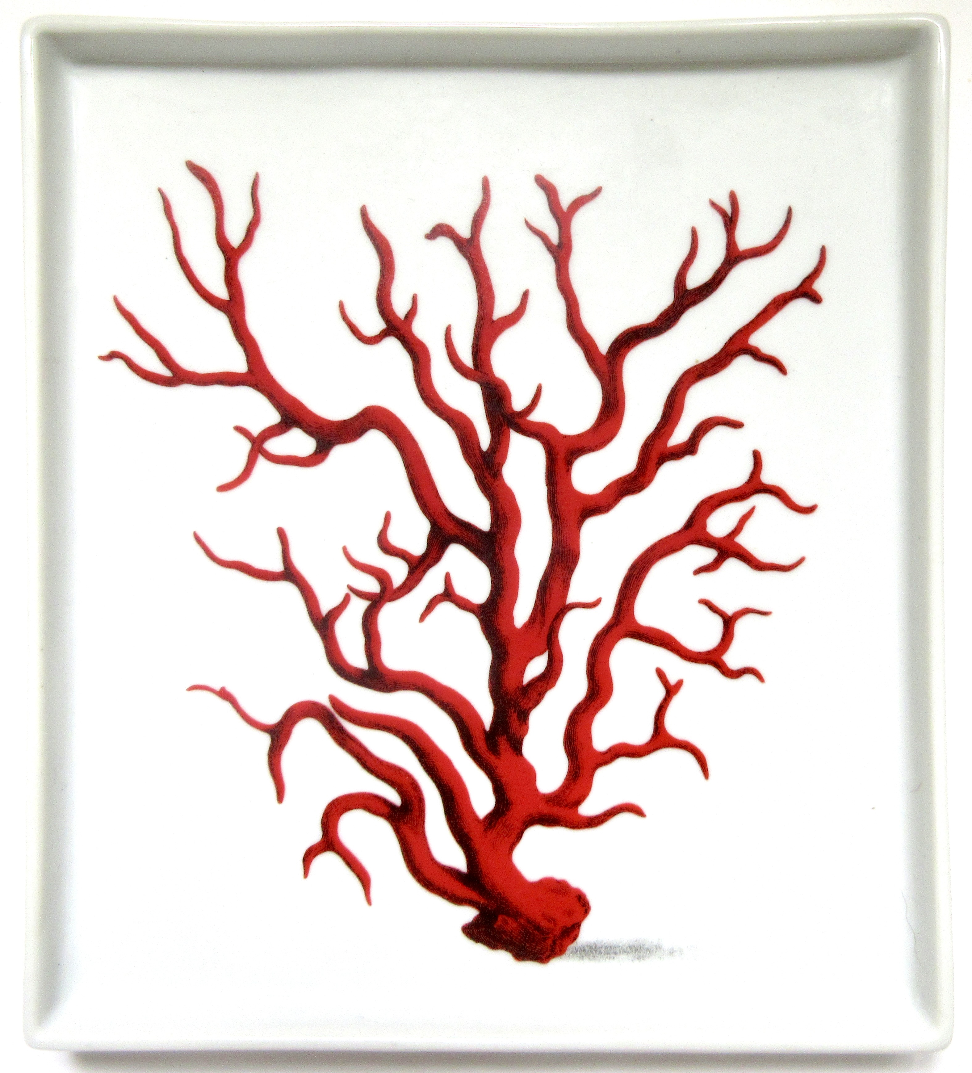 Coral Porcelain Tray~P77696192