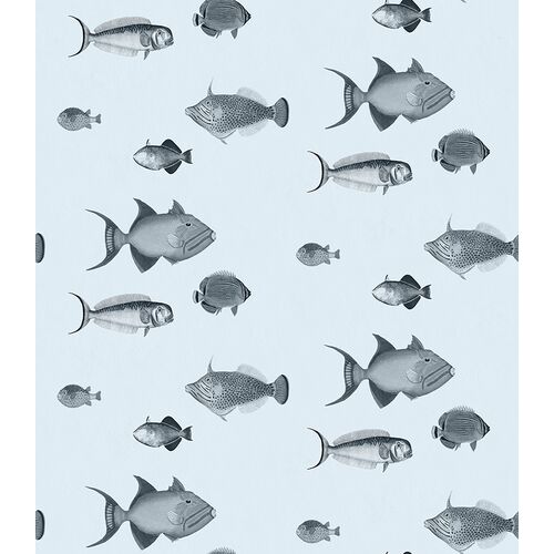 School's Out Wallpaper