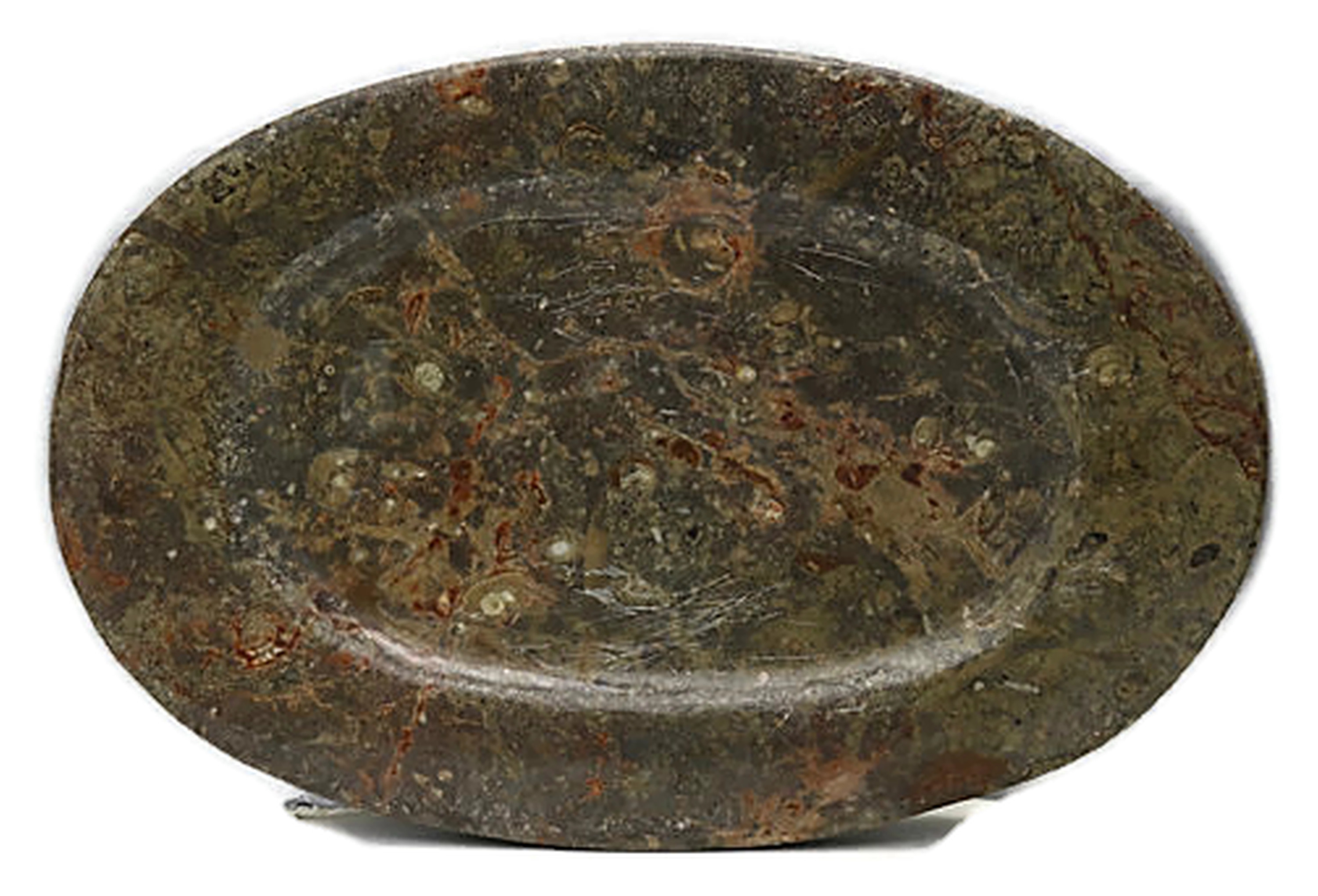 Natural Stone Ammonite Fossils Platter~P77584708