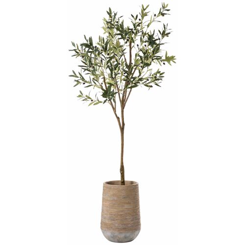 84" Olive Tree in Cement Planter, Green 84" Olive Tree in Cement Planter, Green