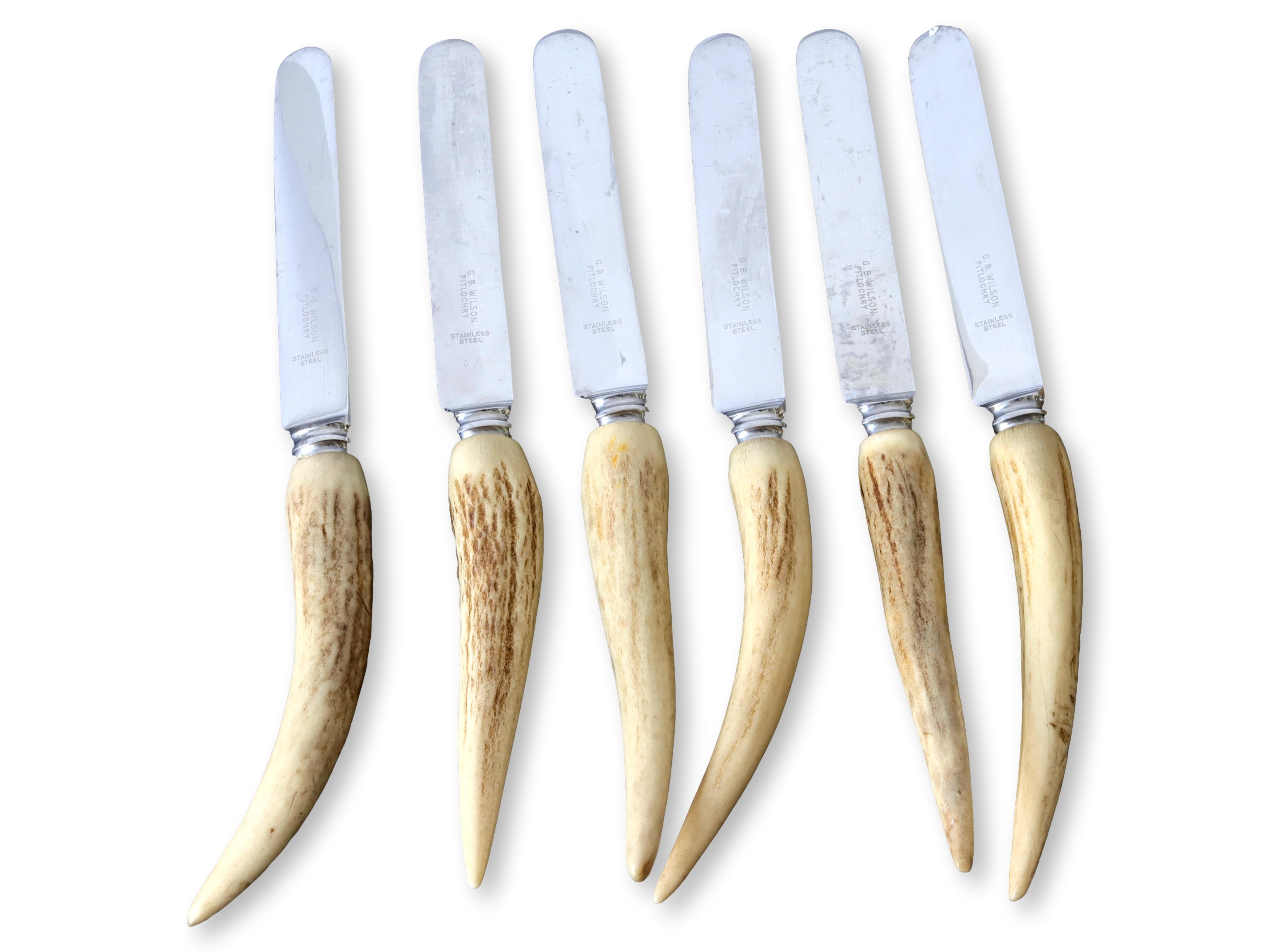 Midcentury Stag-Horn Dinner Knives S/6