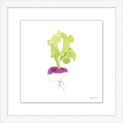 Sara Fitz, Turnip 3