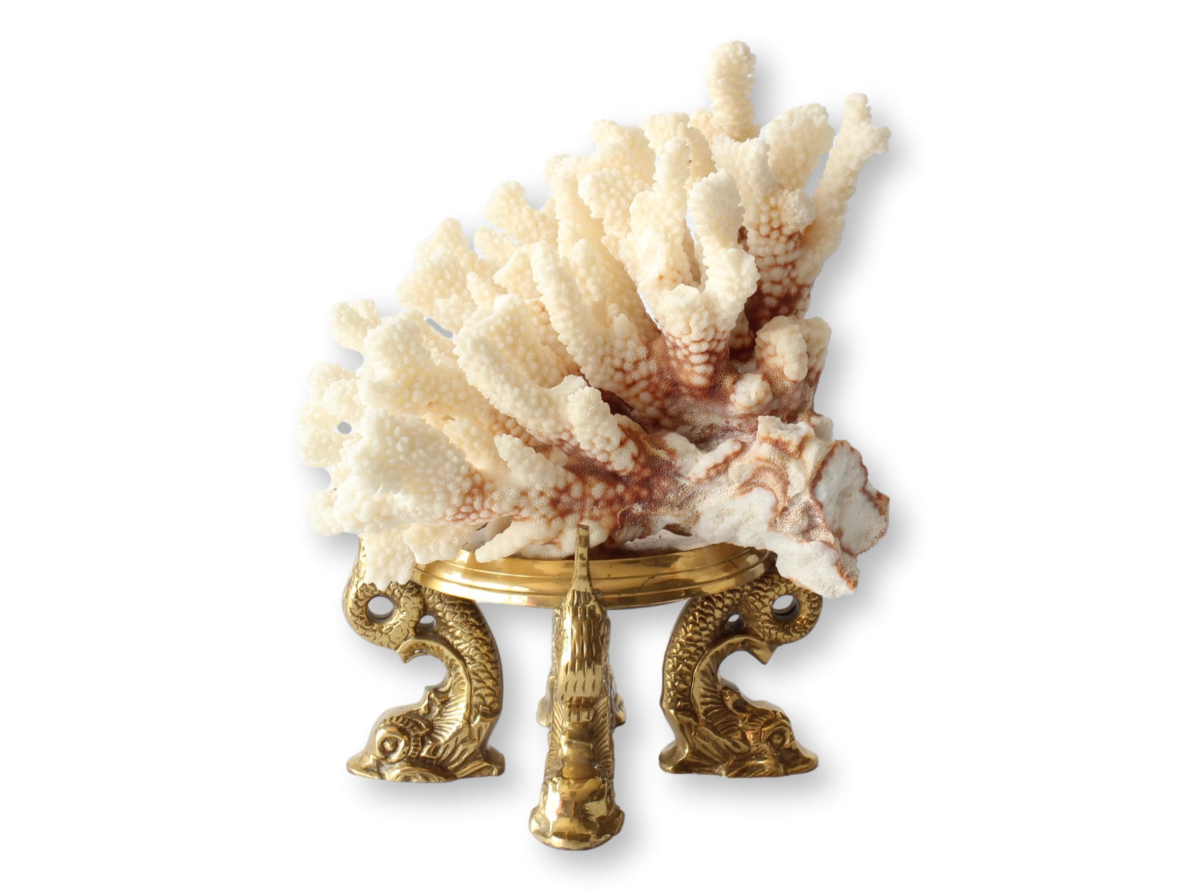 Midcentury Coral on Brass Dolphin Stand~P77702019