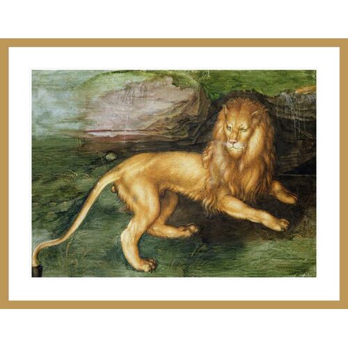 Lion (w/c on paper) by Albrecht Dürer Framed Print Lion (w/c on paper) by Albrecht Dürer Framed Print