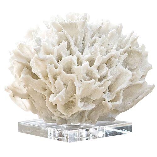 Ribbon Coral, White