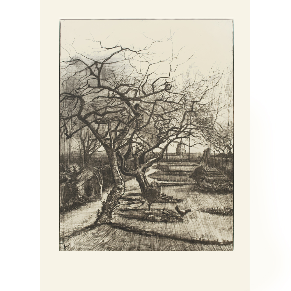 1959 Van Gogh, Winter Garden~P77661329