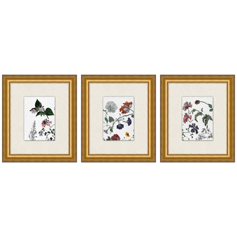Lillian August, Floral Study 1-3