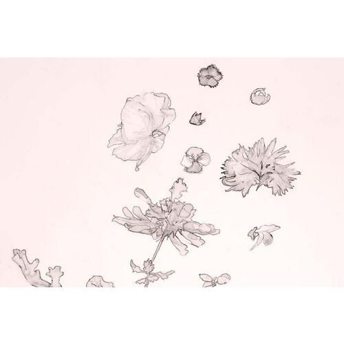 Mary H. Case Med. Blush Botanical Wallpaper, Pink~P77605187