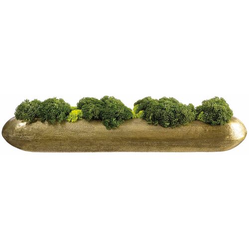 7" Skimmia and Pompon Arrangement, Green