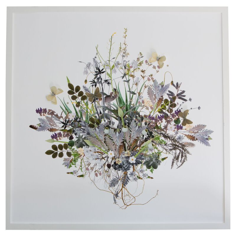 Dawn Wolfe, 3D Plant Montage: Spring