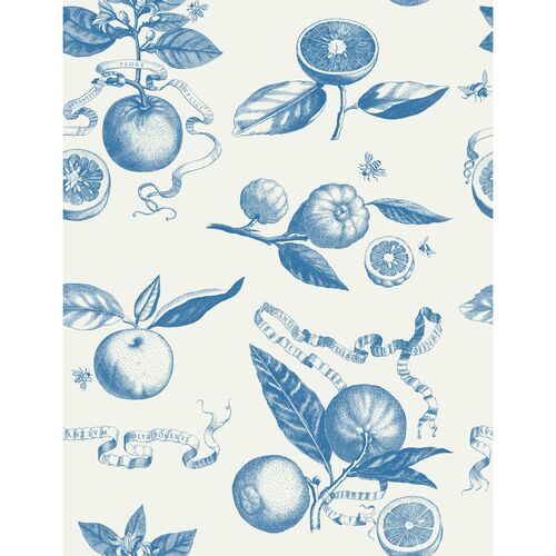 Yuki Osada, Citrus Toile Wallpaper