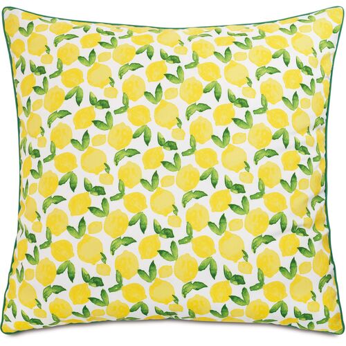 Benita 36x36 Outdoor Floor Pillow, Lemons~P77641688
