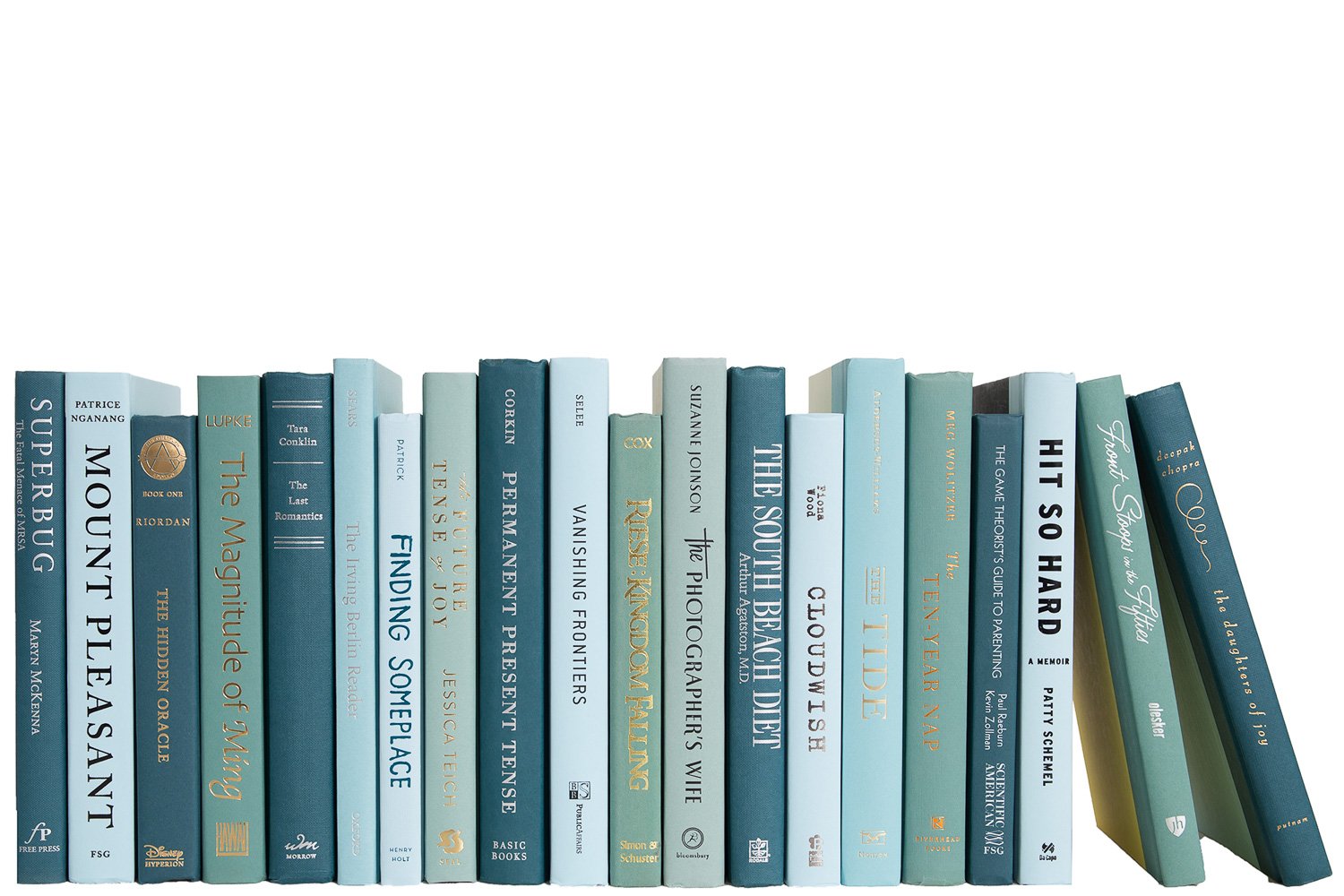 Modern Decorative Books by the Foot, Gulf Coast