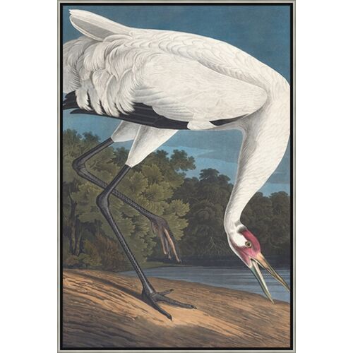 Dance of the Crane II 31.5" x 46.5" Painting By Alex Zane Dance of the Crane II 31.5" x 46.5" Painting By Alex Zane