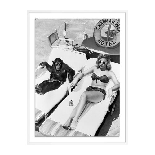 Getty Images, Woman Sunbathing With Chimpanzee Getty Images, Woman Sunbathing With Chimpanzee