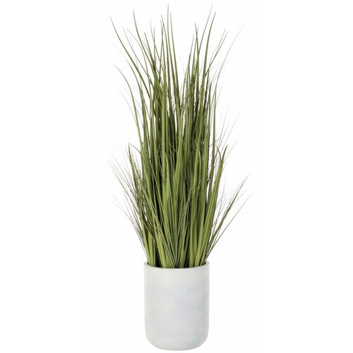 64 Wild Grass in White Cement Planter, Green