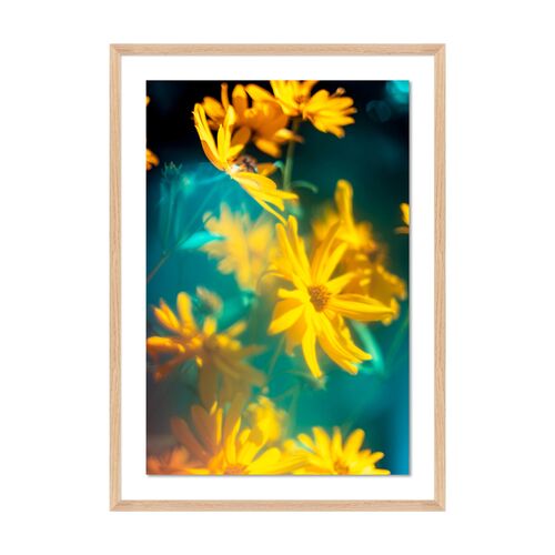 Tommy Kwak, Wildflowers 2 Photograph