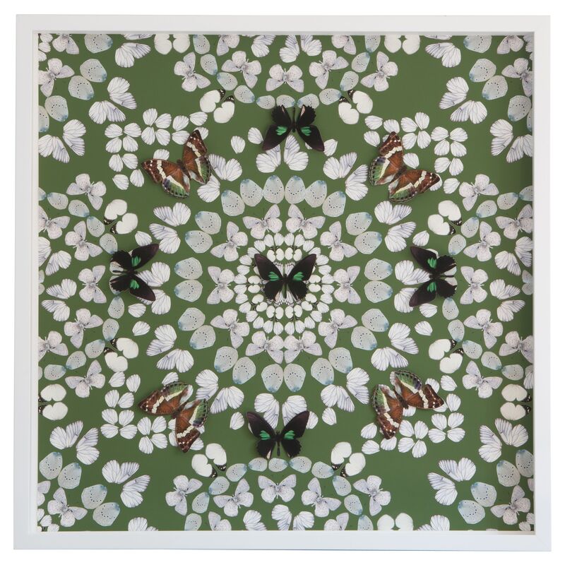Dawn Wolfe, Butterfly Construction: Leaf Green