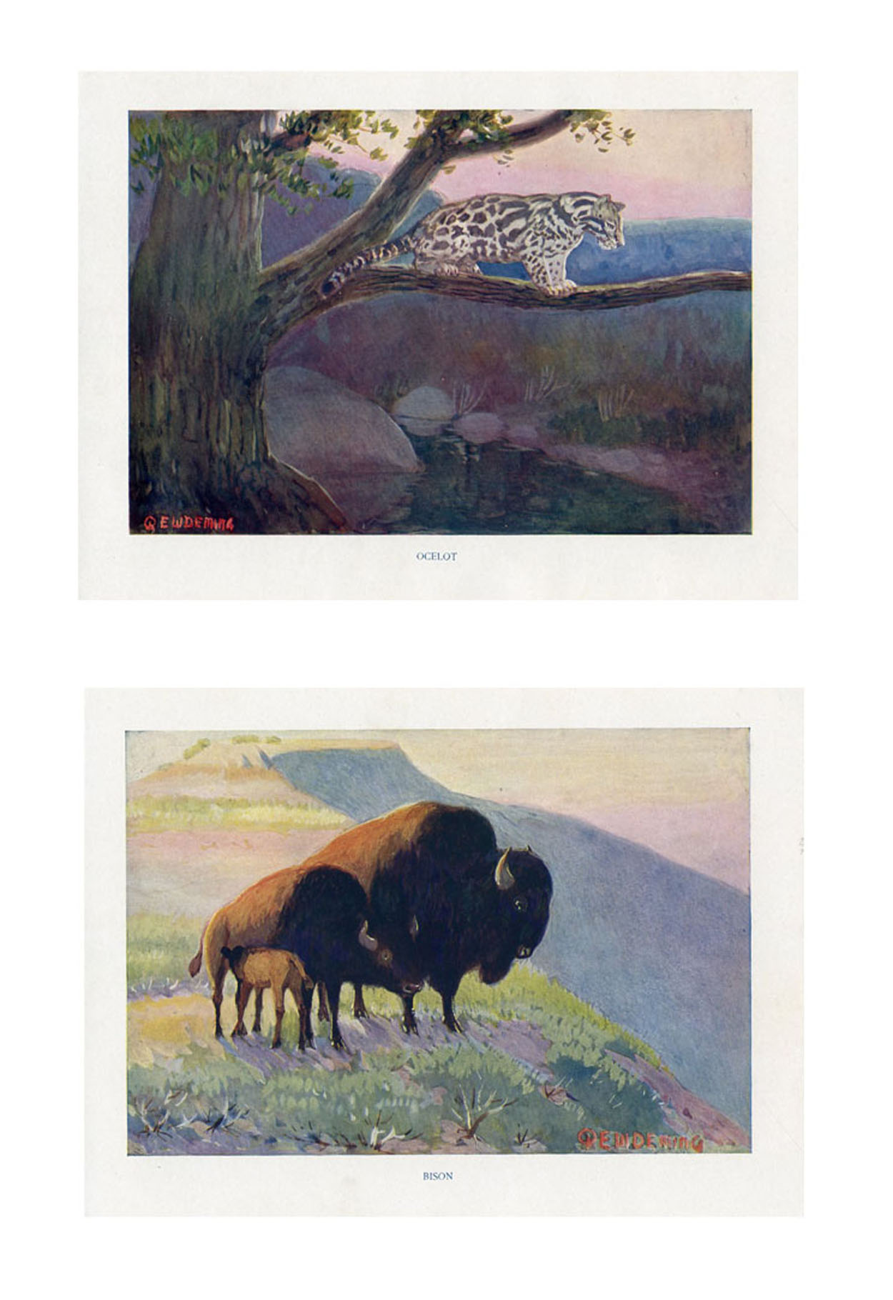 American Wildlife by Edwin Deming, Pair~P77658400