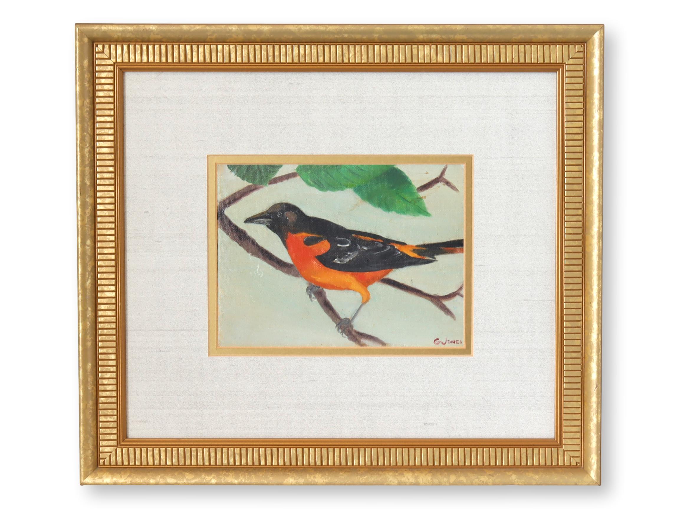 Midcentury Oil on Canvas of a Bird~P77680945