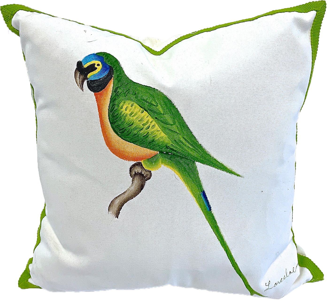 Handpainted Parrot Pillow~P77662316
